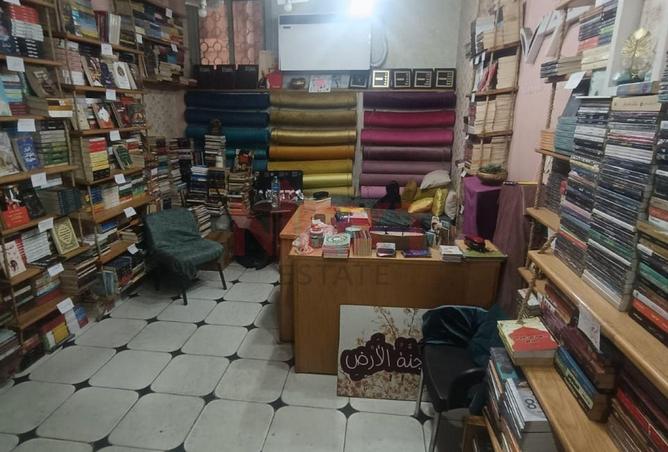 8161463 - Property Image 3