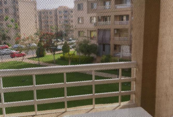 8062057 - صورة العقار 3
