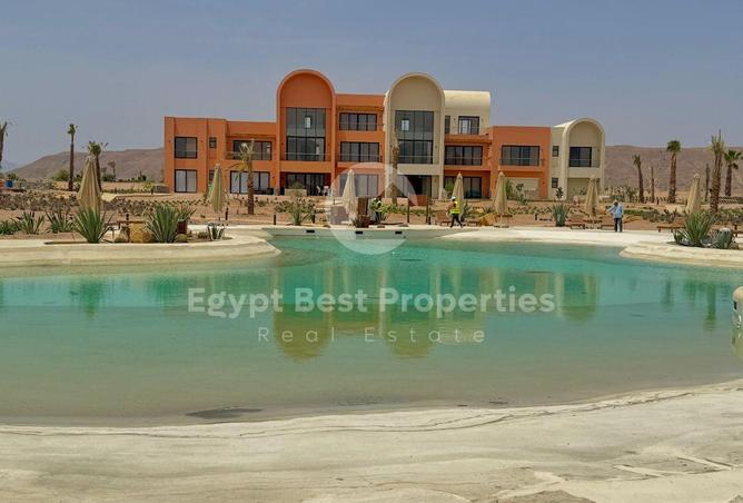 7904526 - Property Image 2
