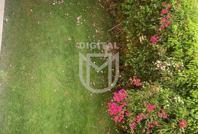 8364332 - Property Image 3