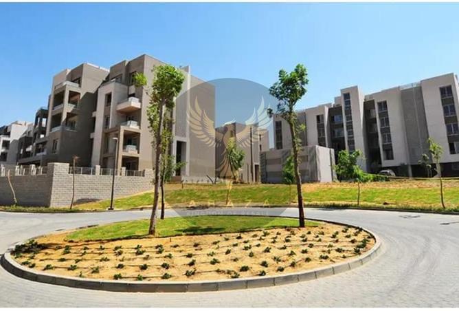 8364385 - صورة العقار 3