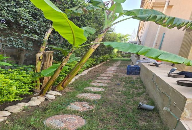 8324595 - صورة العقار 2