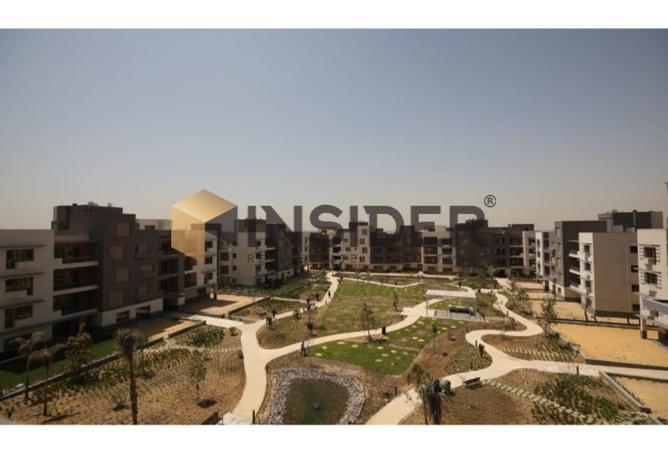 8315827 - Property Image 3