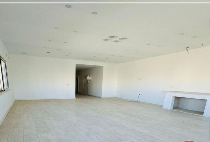 7906187 - Property Image 3