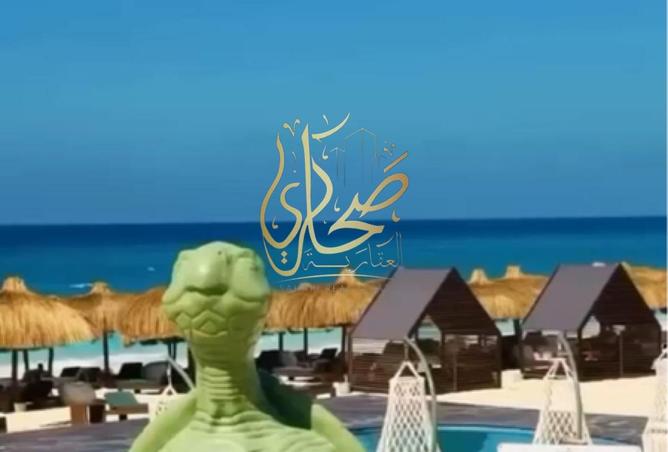 8287260 - صورة العقار 3