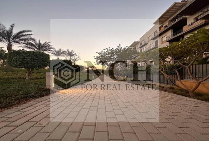 8147347 - Property Image 3