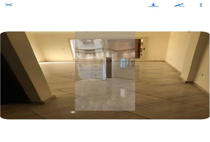 8161397 - Property Image 3