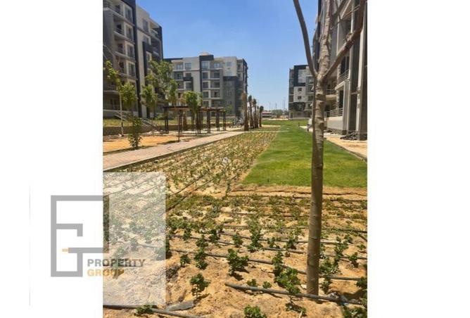 8446577 - صورة العقار 3