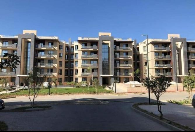 7934621 - Property Image 3