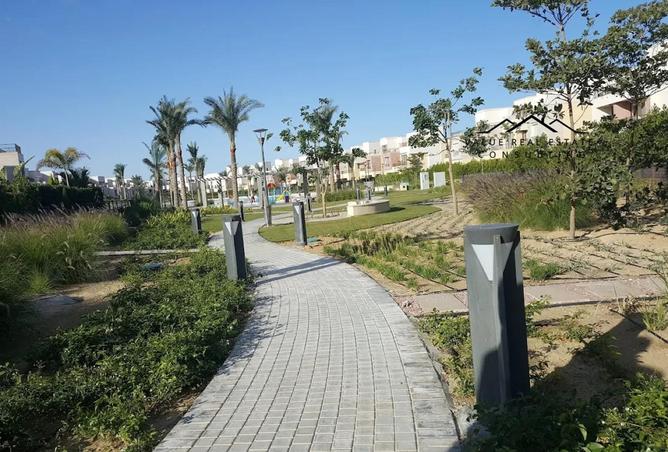 8041065 - صورة العقار 3
