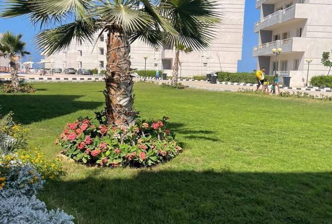 8327351 - صورة العقار 2