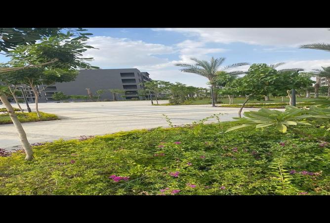 8202236 - صورة العقار 3