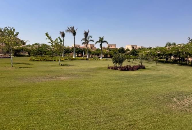 8019782 - صورة العقار 3