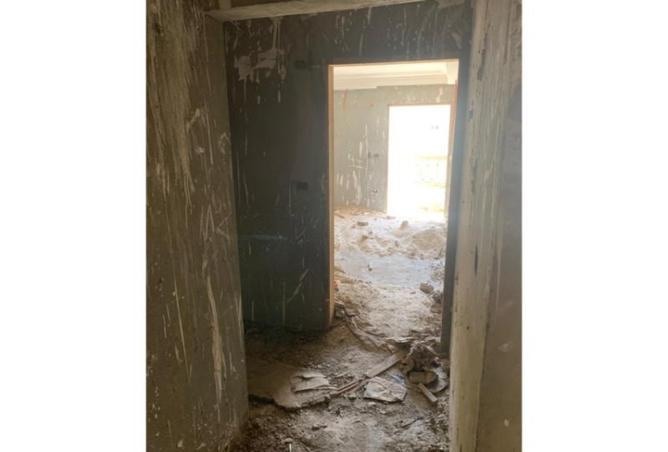 8042219 - صورة العقار 3