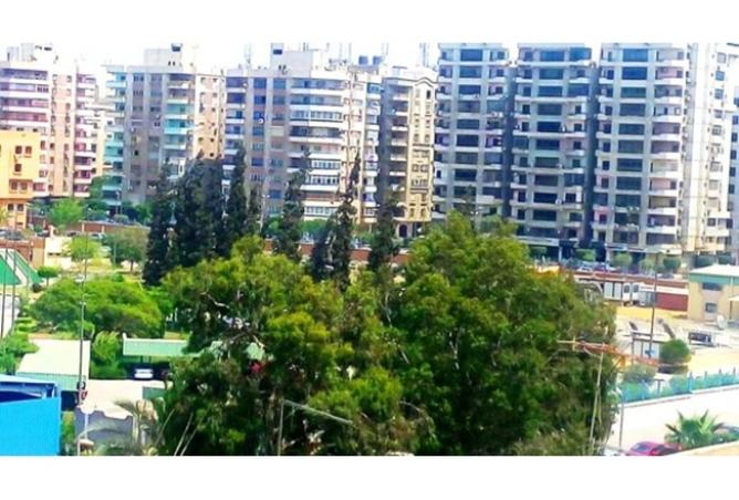 8039364 - الصورة الرئيسية للعقار