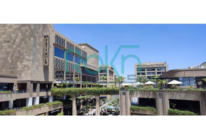 8217771 - Property Image 3