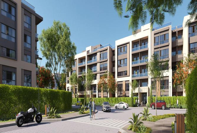 8281741 - Property Image 3