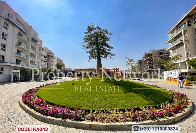 8303081 - صورة العقار 2