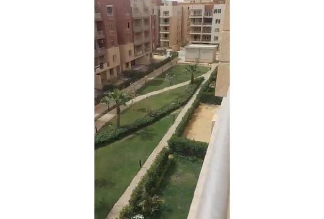 8003048 - صورة العقار 2