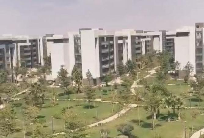 7954947 - صورة العقار 3