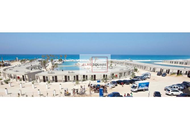 8076739 - صورة العقار 2