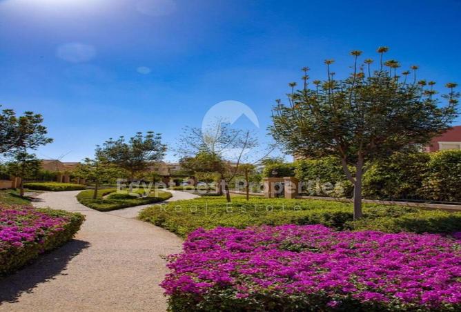 8173680 - صورة العقار 3