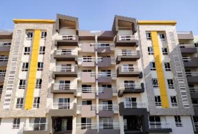 8065819 - Property Image 3