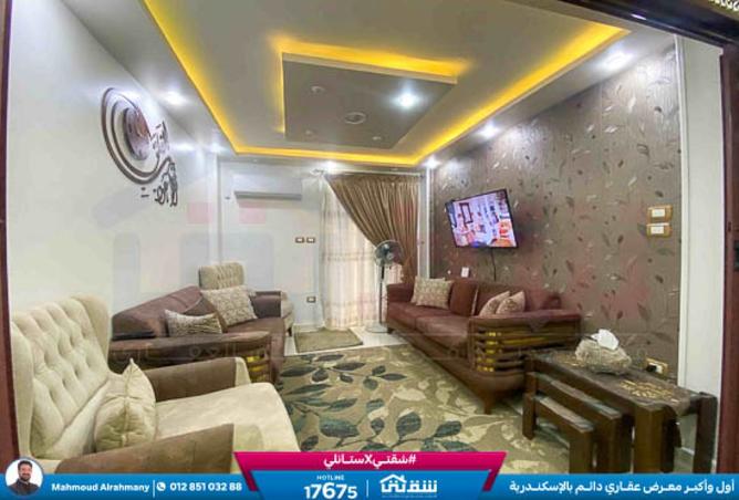 8477772 - Property Image 3