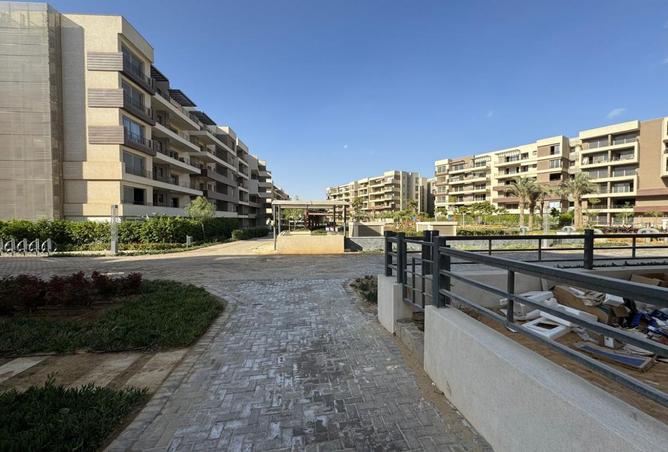 8141429 - Property Image 3