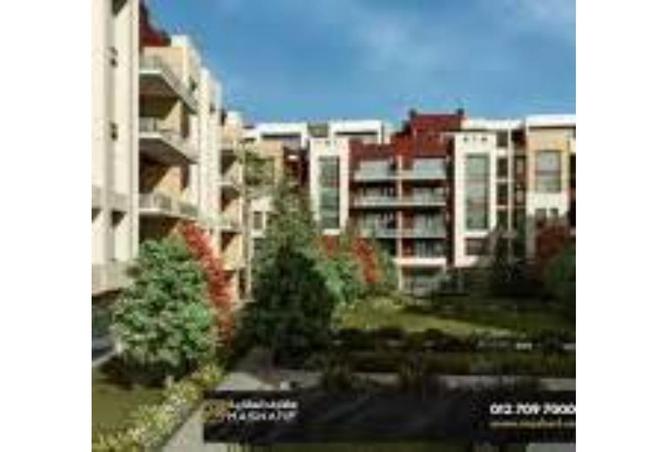 8333354 - Property Image 3