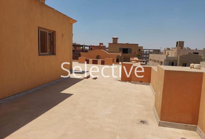 8010574 - Property Image 3