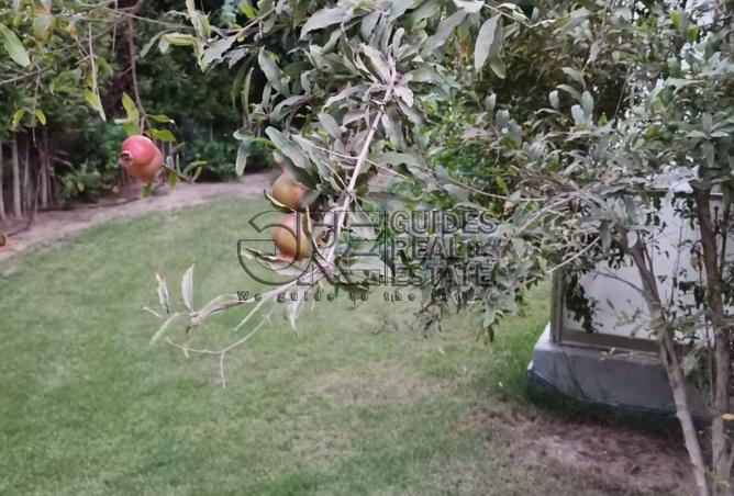 8158881 - Property Main Image