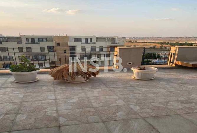 8358290 - Property Image 2