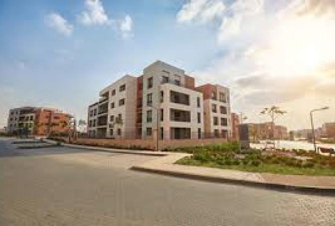 8392705 - Property Image 2