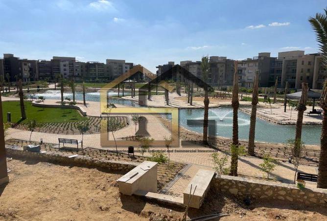 7975688 - صورة العقار 3