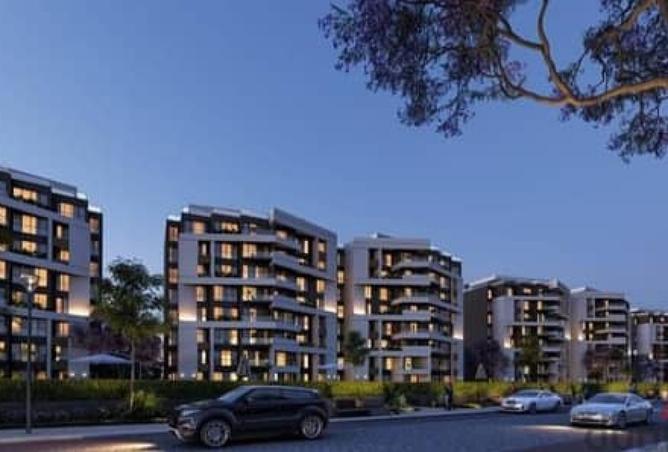 8458531 - Property Image 3