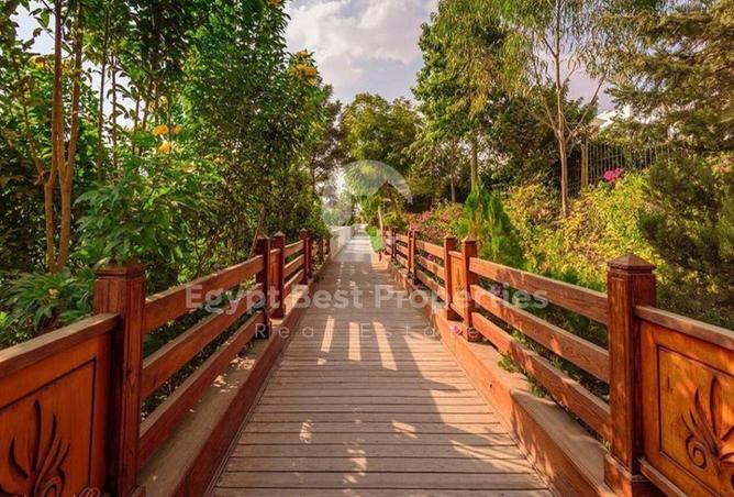 8336635 - صورة العقار 3