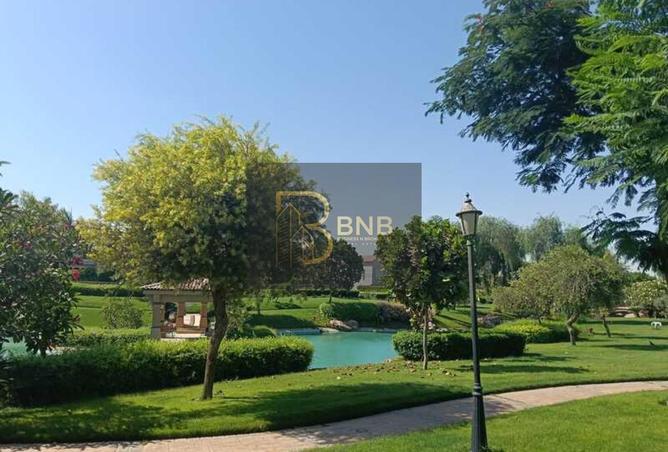 8118365 - Property Image 3