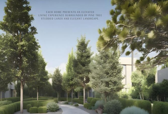 8006724 - Property Image 3