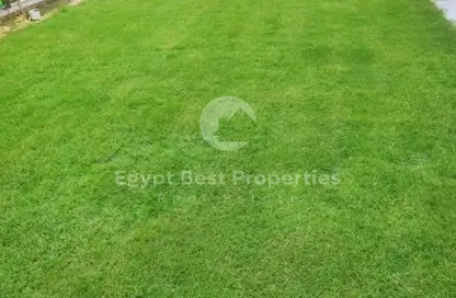 Apartment - 3 Bedrooms - 3 Bathrooms for sale in Villette - 5th Settlement Compounds - The 5th Settlement - New Cairo City - Cairo