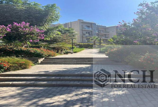 8456930 - صورة العقار 3