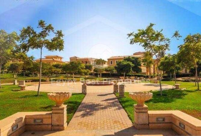 8367293 - Property Image 3