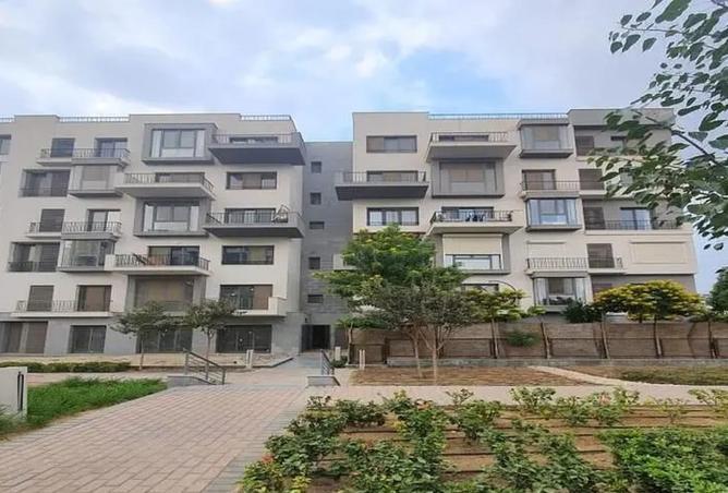 8331926 - Property Image 3