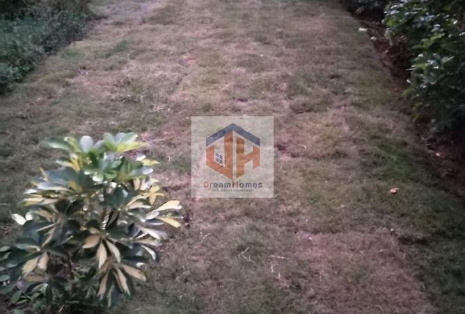 8336713 - صورة العقار 3