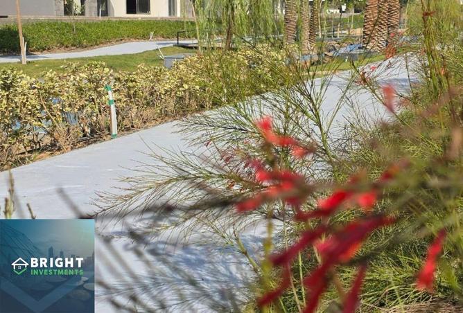 8559543 - Property Image 3