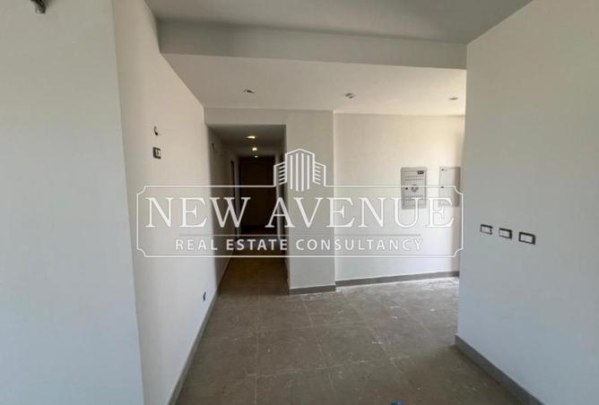 8091373 - Property Image 3