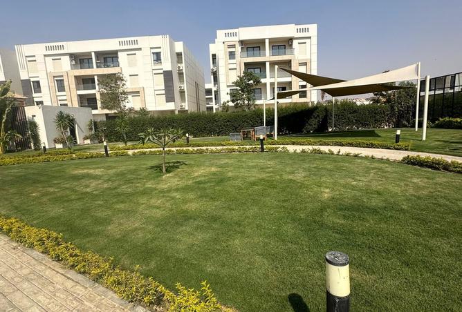 8083281 - Property Image 3