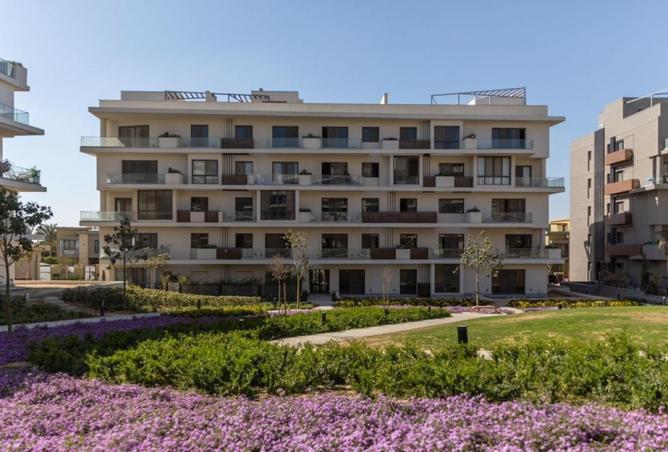 8434059 - Property Image 3