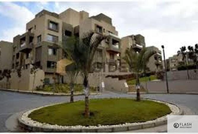8090472 - Property Image 3