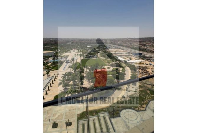 7996599 - Property Image 3
